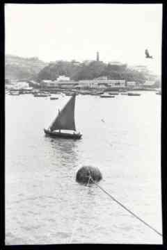 ���� ������ ��� ��� ����